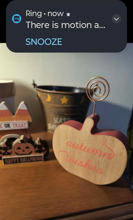 Photo of free Fall decor (Crestwood near Princeton Halls) #4