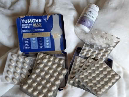 Photo of free Joint care/brain care DOG tablets (Near Aston on Clun SY7) #1