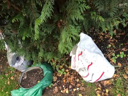 Photo of free Soil for raised bed (South Malling BN7) #1