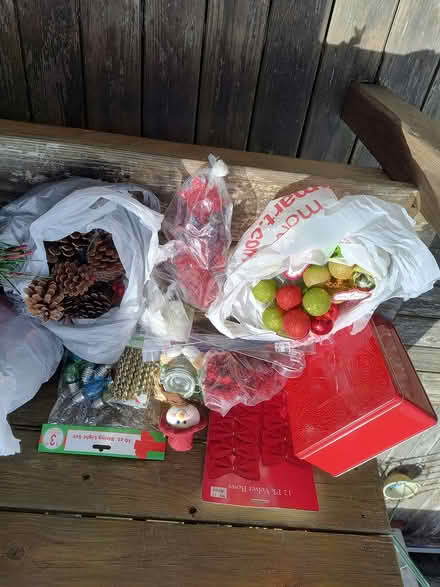 Photo of free Christmas florals (Crestwood near Princeton Halls) #2