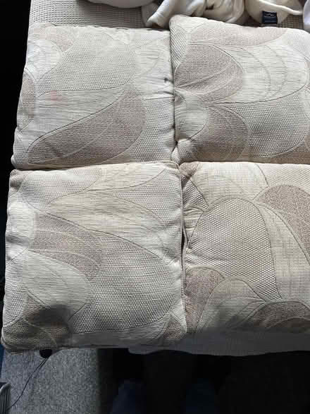 Photo of free Cushions (Norwich and Surrounding Area) #1
