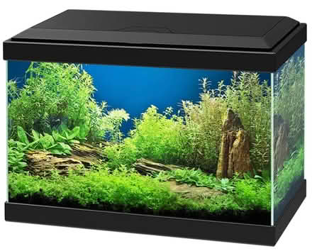 Photo of Fish tank (The Highlands TN39) #2