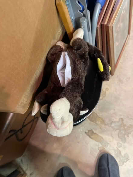 Photo of free Rollover monkey (East Cobb) #2