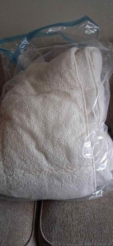 Photo of free Single size teddy bear duvet (KGH area NN16) #1