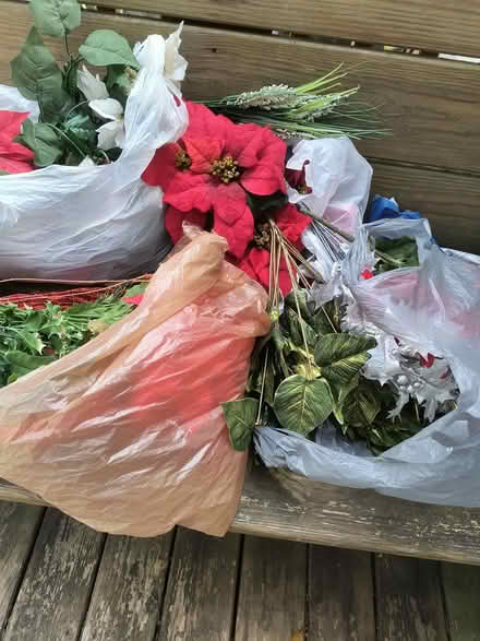 Photo of free Christmas florals (Crestwood near Princeton Halls) #1