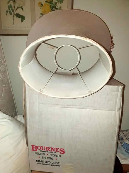 Photo of free Large Pink Silk standard lamp shade (BA3 4XJ Chilcompton village) #2
