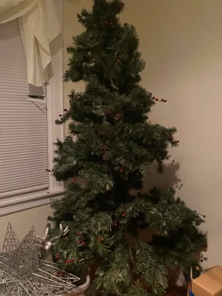 Photo of free Christmas Tree (Clifton, NJ) #1