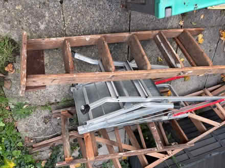 Photo of free Lots of ladders (N13 firs farm) #1