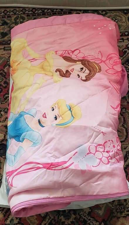 Photo of free Readybed, Disney Princess design (Lescudjack Penzance) #1