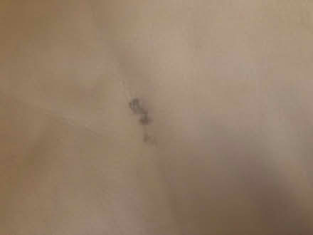 Photo of free 2 Seater Leather Sofa (PA1) #3