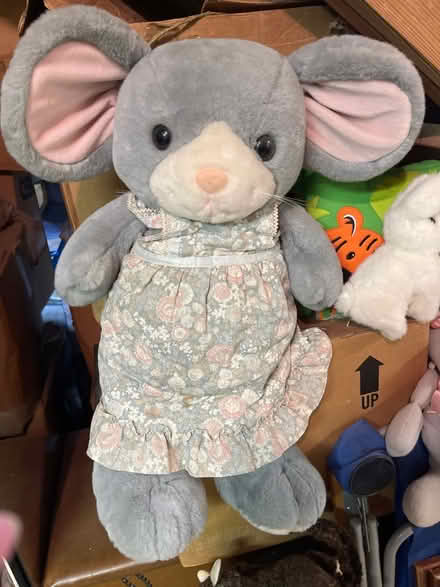 Photo of free Big mouse (East Cobb) #1