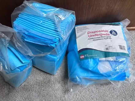 Photo of free Pee pads (Olympia high school) #1