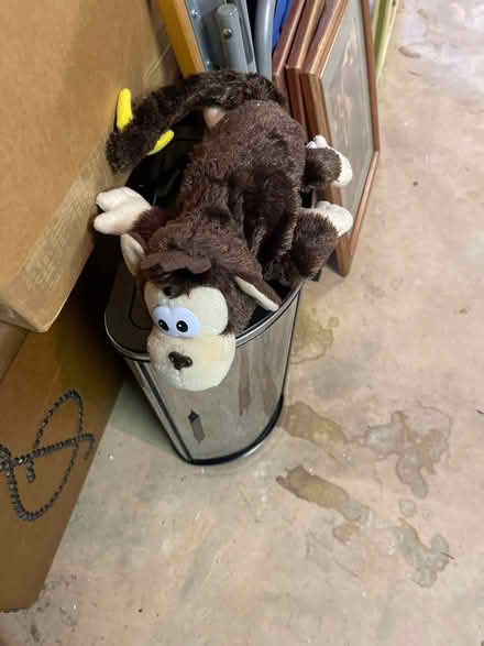 Photo of free Rollover monkey (East Cobb) #1