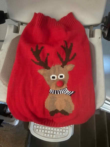 Photo of free Dog jumper (Rubery B45) #1