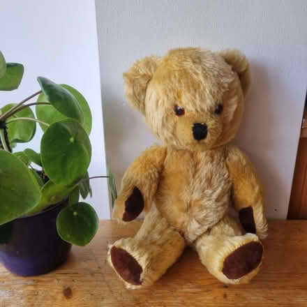 Photo of free Teddy bear (Hertford SG13) #1