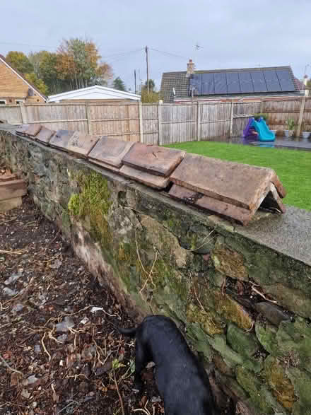 Photo of free Ridge Tiles (SY11) #1