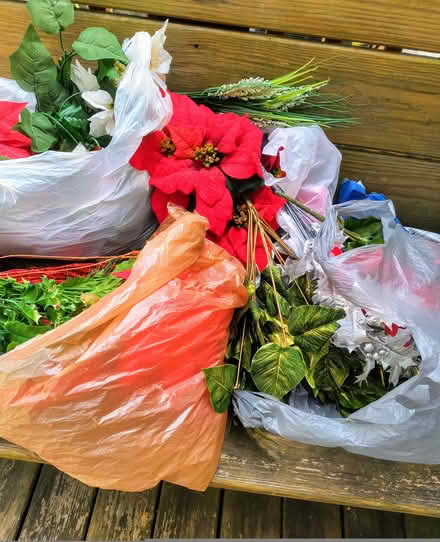 Photo of free Christmas florals (Crestwood near Princeton Halls) #4