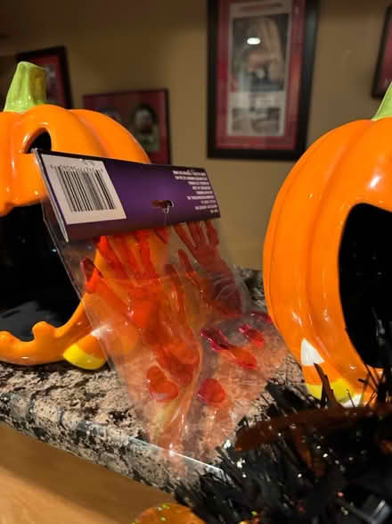 Photo of free Halloween Decor (North Alpharetta) #3