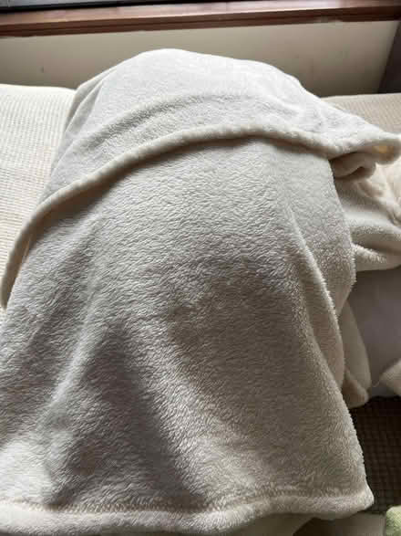 Photo of free Good Condition Fluffy Bedding (Norwich and Surrounding Area) #2