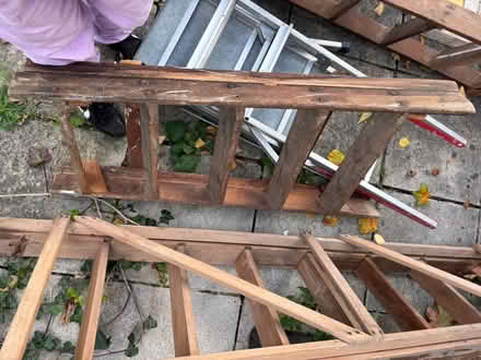 Photo of free Lots of ladders (N13 firs farm) #3