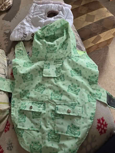 Photo of free 2 dog coats (Kingsway) #2