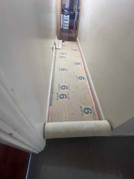 Photo of free Hard-wearing Hallway carpet (Leigh on sea SS9) #2