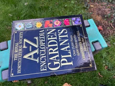 Photo of free Garden plants encyclopedia (N13 firs farm) #2