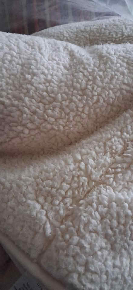 Photo of free Single size teddy bear duvet (KGH area NN16) #2