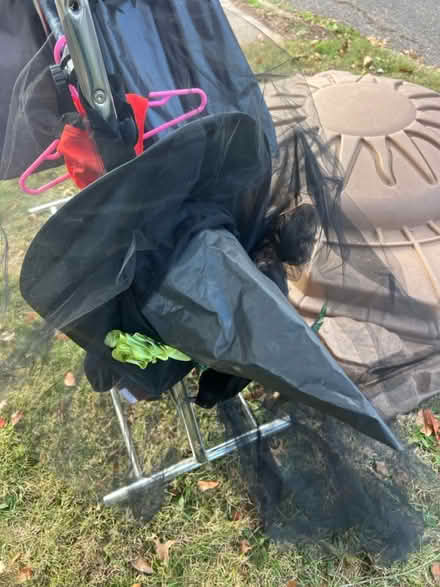 Photo of free Halloween costumes and decorations (Flemington) #3