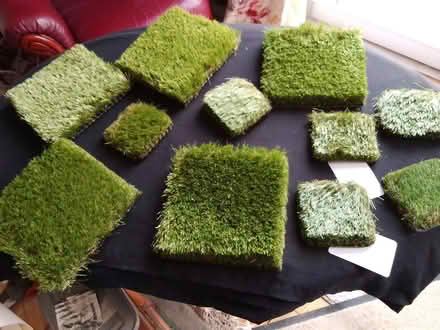 Photo of free Model scenery? Artificial grass (Bailbrook) #1