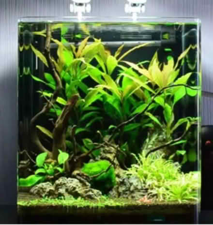 Photo of Fish tank (The Highlands TN39) #1