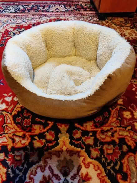 Photo of free Cat Bed (Moorlands LA1) #1