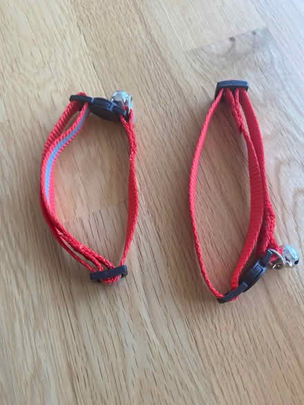 Photo of free New cat collars (Upshire EN9) #1
