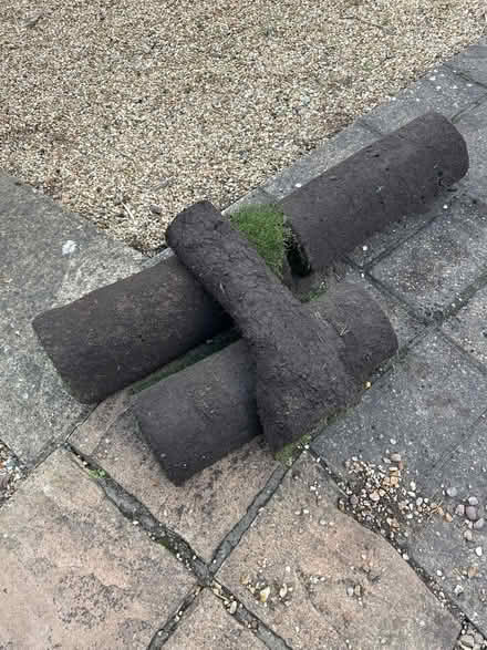 Photo of free Turf (Bury PE26) #1