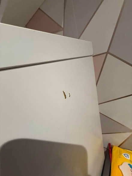 Photo of free Ikea media shelving unit (Goffs oak Waltham cross EN7) #4