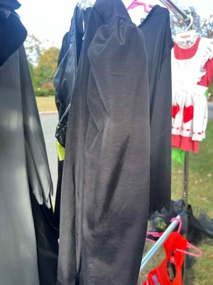 Photo of free Halloween costumes and decorations (Flemington) #2