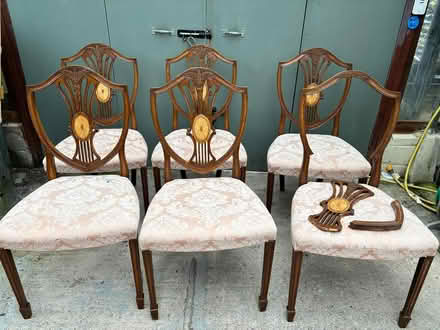 Photo of free 6 x Dining Chairs (Macclesfield SK10) #1