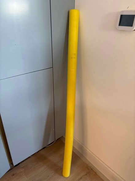 Photo of free Pool noodle (Allington ME16) #1