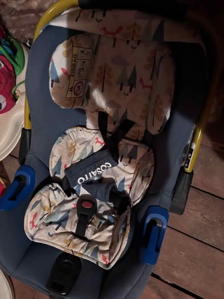 Photo of free Cosatto new born car seat (N13 firs farm) #1