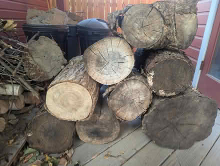 Photo of free 9 Firewood Chunks (Ann Arbor, Central Campus) #1