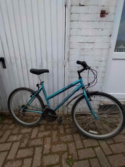 Photo of free Mens and womens adult mountain bikes (Ecclesall S11) #2