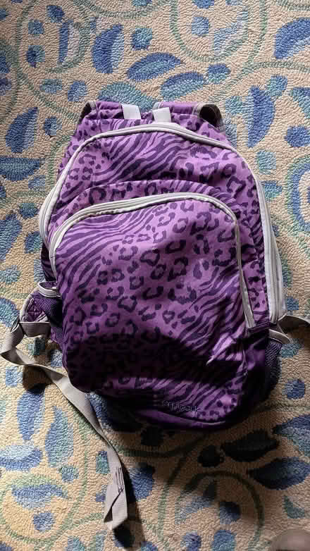 Photo of free Lavender backpack, good shape (Somerville, off Cedar St) #1