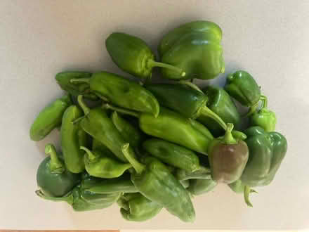Photo of free Sweet green peppers 5.5 pounds (Hagerstown- North End) #1