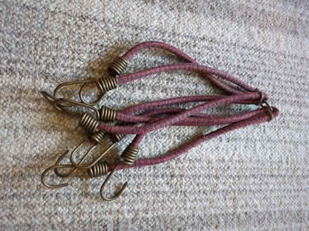 Photo of free Elastic octopus (Roffey) #1