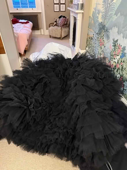 Photo of free Ball gown uk 10 (Pimlico, SW1) #4