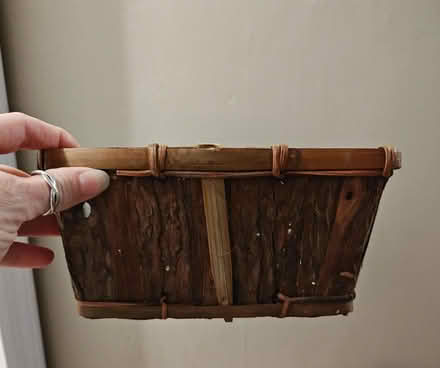 Photo of free Small basket (Primos) #2