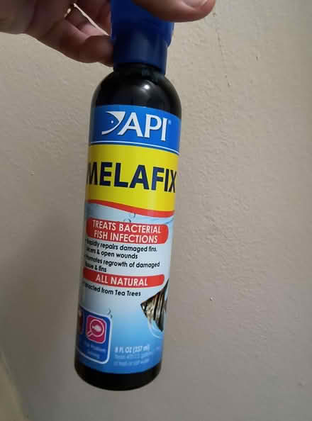 Photo of free BettaFix and MelaFix for betta fish (Hilton Village area in NN) #3