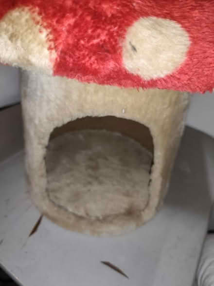 Photo of free Cat bed (Water Eaton MK2) #3