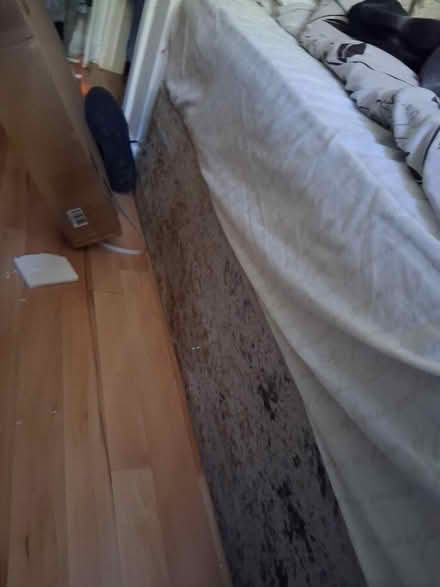 Photo of free velvet bed with mattress (CH53ET) #2