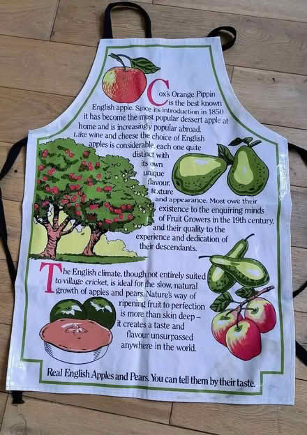 Photo of free Apron (Allington ME16) #3